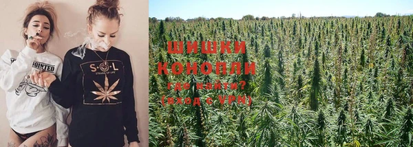 каннабис Армянск