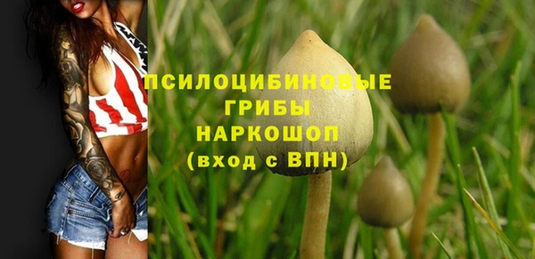 МДМА Арсеньев