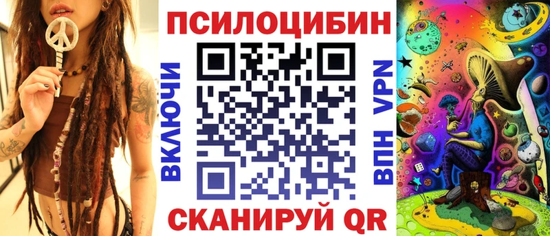 Купить  Волхов  Псилоцибиновые грибы мицелий 